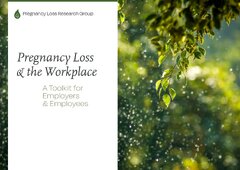 PLRG_PLACES_Toolkit_2025_Final